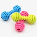 Dettaglio ravvicinato di tre giocattoli da masticare per cani a forma di manubrio in TPR colorato - Manubrio a Spine Rosa Rosso