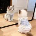 Achteraanzicht en spiegelbeeld van een kitten in een blauw geblokte kanten jurk. - M / Franse Strik Prinsessenjurk / Blauw Geruit