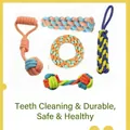 Set of 5 colorful braided cotton rope chew toys for dogs to clean teeth and play. - Extra Durable Rope Collection