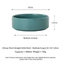 Ciotola in ceramica lucida da 1000 ml per animali domestici, 18x18x5,8 cm verde acqua - Medio Grande / Verde Grigio Lucido