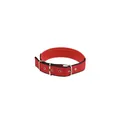 Close-up detail of a red adjustable nylon webbing dog collar featuring a sturdy metal buckle. - Red Collar Only / 6mm*1.5m S Size (Approx. 2.5-6kg)