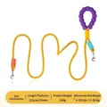 Guinzaglio regolabile a doppia testa giallo con manico a perle viola per cani - Guinzaglio a Doppia Testa / 110cm/10mm / Giallo