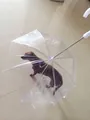 Parapluie transparent pour petit chien avec laisse intégrée et poignée blanche en crochet - 70cm Diamètre / Blanc
