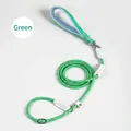 Adjustable green and yellow patterned slip lead dog leash for training and walking dogs - Slip Lead Braided / 0.8x180cm / Green