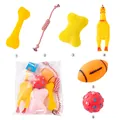 Comprehensive 6-piece dog toy set including a squeaky chicken, cotton rope, and rubber balls - Squeaky Toy Set