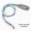 Bungee dog leash for anti-pull control, features a vibrant green and purple gradient finish - Green Purple Gradient