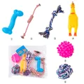 Comprehensive 6-piece dog toy set featuring rope knots, squeaky toys, and a durable chew ball. - Best Choice Set (YB-4-1-3)