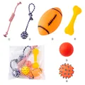 Vista dettagliata del set da 6 pezzi di giochi per cani con corde, palline e osso in gomma. - Set Giocattoli Speciale per Cani Medi
