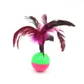 Interactive cat tumbler toy with colorful feathers on a green and pink ball base - Feather Tumbler Toy / 20x5cm