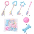 Comprehensive 6-piece dog chew toy set display including rope knots and textured TPR shapes. - Macaron Style Set (Classic)