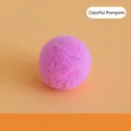 Soft pink plush pom-pom ball cat toy designed for interactive indoor pet play and exercise - Bouncy Ball / Approx 5.5cm
