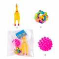 Robustes dreiteiliges Haustierspielzeug-Set mit Schreihuhn und bunten Quietschbällen - Igel Glockenball Huhn 3er Set