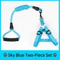 Sky blue dog harness and leash set with padded handle for small dogs and cats - 天蓝两件套(工字型) / M / Blue