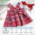 Rotes kariertes Haustier-Geschirrkleid mit passender Leine, Frühlings-Sommer-Stil - S (1.5-2kg) / Kleider / Inklusive Leine / Rot Karo
