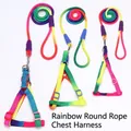 Harnais et laisse pour chien aux couleurs de l'arc-en-ciel pour petits chiens en plein air - Petit (0.8cm) / Arc-en-ciel
