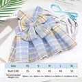 Blau-gelb kariertes Strick-Haustierkleid mit Schleifendetail und Leinen-Größentabelle - S (1.5-2kg) / Kleider / Inklusive Leine / Blau Kariert