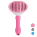 Cepillo autolimpiable para perros y gatos, variante color rosa sobre fondo blanco limpio - Bolsa de polietileno / Rosa