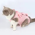 Comfortable breathable pink cat recovery suit with stylish ruffles for post-surgery protection - L (Recommended 6-9kg) / Pink