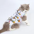 Breathable cat recovery suit with pineapple print for post-surgery protection and comfort - White Pineapple