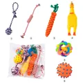 Comprehensive 6-piece dog toy set featuring cotton ropes, a rubber chicken and balls - Popular Style Set (YB-4-2-3)