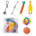 Set vario di 6 giocattoli per cani per la dentizione e il gioco - Stile Carota / Set da 6 pezzi