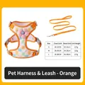 Harnais et laisse pour chien à carreaux orange avec une fleur rose décorative - Orange / Petit-S