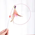 Bacchetta interattiva per gatti in filo d'acciaio elastico con piume naturali e campanello - Stile Piuma / 1 Pezzo
