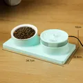 Stazione di alimentazione 2 in 1 con fontana d'acqua automatica e ciotola in ceramica - Verde con Ciotola in Ceramica