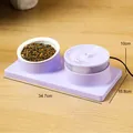 Set doppia ciotola viola per animali con fontana automatica e ciotola ceramica - Viola con Ciotola in Ceramica