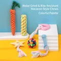 Buntes Makronen-Haustier-Kauspielzeug-Set mit Baumwollseil-Karotte und TPR-Formen - Macaron Seilknoten-Stil / 6-Teiliges Set