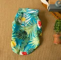 Vista detallada del vibrante estampado tropical de frutas y hojas en una camisa para mascotas - XS / Verde