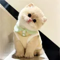 Adorable small cat and dog summer polo shirt vest in yellow and mint green colors - XS / Yellow With Light Green Collar