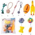 10-teiliges Hundespielzeug-Sortiment mit Quietsche-Huhn, Seilen und Plüschknochen. - Groß / 10-teiliges Set