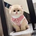 Cute pink ribbed polo vest for kittens, summer breathable and comfortable pet apparel. - M / Sakura Pink With Light Pink Collar