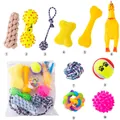 10er-Pack robustes Hundespielzeug-Set mit Baumwollseilen, Quietschhuhn und Gummiknochen - Allgemeiner Zweck / 10-teiliges Set