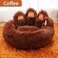Gemütliches braunes Haustierbett in Bärentatzenform aus weichem Plüsch für Hunde und Katzen - 50cm / Braun