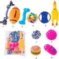 Vielfältiges 10-teiliges interaktives Hundespielzeug-Set mit Quietschhuhn, Seilknoten und Bällen - Beliebter Universal-Stil / 10-teiliges Set