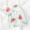 Atmungsaktive Sommer-Haustierweste aus Netzstoff mit Wassermelonen-Muster und D-Ring - XS (Empfohlen 0.5-1kg) / Flügelärmel Mesh Weste - Wassermelone (Mit Zugring)