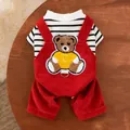 Graziosa salopette in velluto a coste rosse per animali con toppa a forma di orso - Taglia S / Set / Rosso
