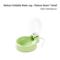 Draagbare opvouwbare waterfles voor huisdieren met koord in pastoraal groen - Ballon Opvouwbare Stijl / Klein (350ml) / Wildernis Groen