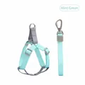 Minzgrünes verstellbares Nylon-Haustiergeschirr und Leine für Hunde - L / 2.0x120cm / Grün