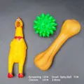 3-piece pet dog chew toy set including squeaky rubber chicken bone and green spiky ball - Promo Squeaky Style / Three-Piece Set