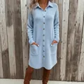Light blue knit polo collar button-down sweater dress with pockets for autumn fashion - S / Dress (ZY7732) / Sky Blue