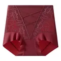 High-waisted seamless tummy control panties in burgundy featuring elegant floral lace - M / Ancorra Red