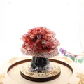 Close-up detail of a handmade red crystal gemstone money tree on a carved wooden base - 5cm*4.2cm / Red Jasper