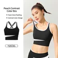 High-impact black and white contrast sports bra with fixed chest pads for gym and fitness - 2XL / Tops / Starry Black
