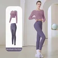 Berry purple long-sleeved yoga top and aubergine high-waisted leggings set for gym fitness - S / Top And Bottom / Berry Purple + Deep Eggplant Purple