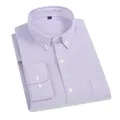 Chemise Oxford homme à manches longues violet clair avec col boutonné classique - Violet