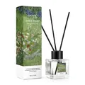 cocoiris Stäbchen-Diffusor-Set mit Bambus- und Weißtee-Duft in eleganter 50ml Glasflasche - Wild Bluebell / 50ml