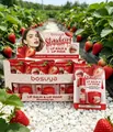 Bosuya strawberry lip balm and lip mask set displayed in a lush strawberry field. - Strawberry / 24 Units Display Kit